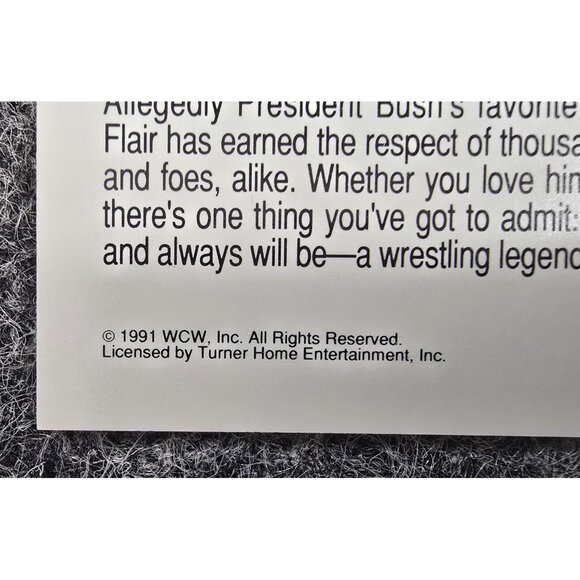 WCW 1991 Ric Flair Trading Card Set Licensed By Turner - Picture 2 of 7